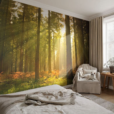 Fototapeta fizelinowa do sypialni z motywem leśnego poranka