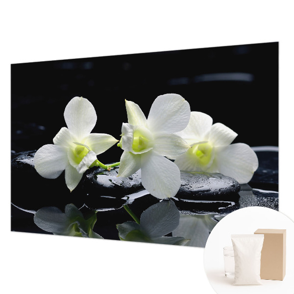 Tapeta fotograficzna fizelinowa Kwiaty kamienie