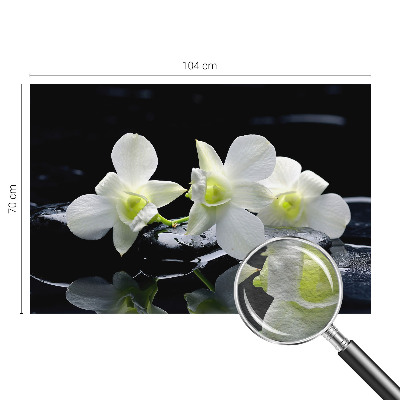 Tapeta fotograficzna fizelinowa Kwiaty kamienie