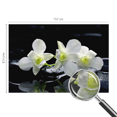 Tapeta fotograficzna fizelinowa Kwiaty kamienie