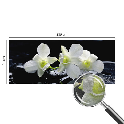 Tapeta fotograficzna fizelinowa Kwiaty kamienie