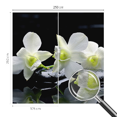 Tapeta fotograficzna fizelinowa Kwiaty kamienie