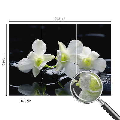 Tapeta fotograficzna fizelinowa Kwiaty kamienie