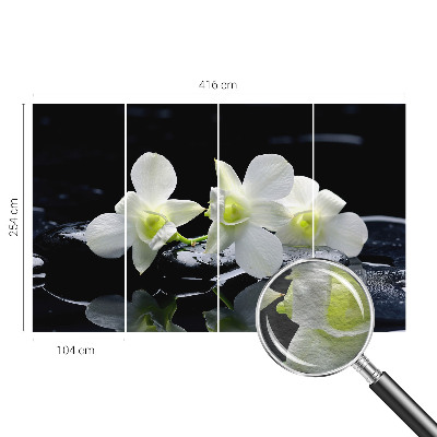 Tapeta fotograficzna fizelinowa Kwiaty kamienie