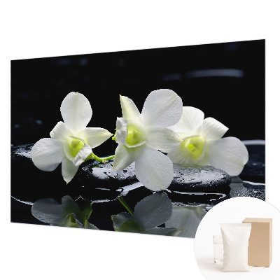 Tapeta fotograficzna fizelinowa Kwiaty kamienie