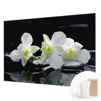 Tapeta fotograficzna fizelinowa Kwiaty kamienie