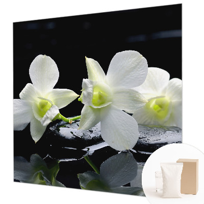 Tapeta fotograficzna fizelinowa Kwiaty kamienie