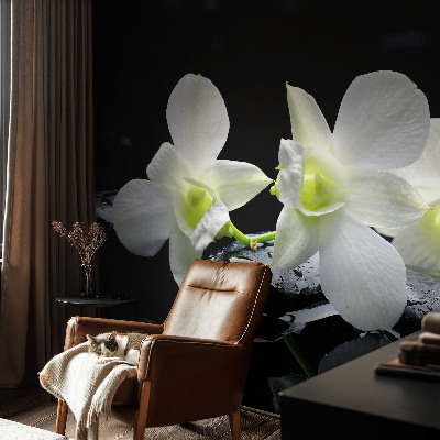 Tapeta fotograficzna fizelinowa Kwiaty kamienie