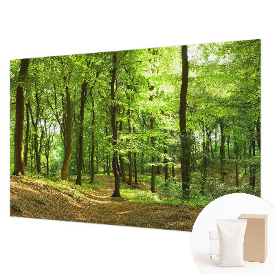 Tapeta fotograficzna fizelinowa z motywem naturalnej ścieżki