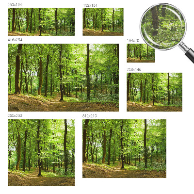 Tapeta fotograficzna fizelinowa z motywem naturalnej ścieżki