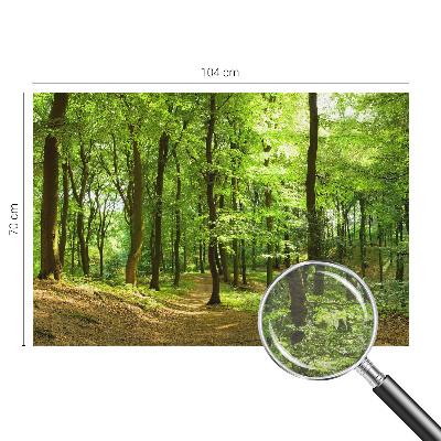 Tapeta fotograficzna fizelinowa z motywem naturalnej ścieżki