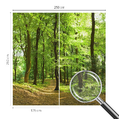 Tapeta fotograficzna fizelinowa z motywem naturalnej ścieżki