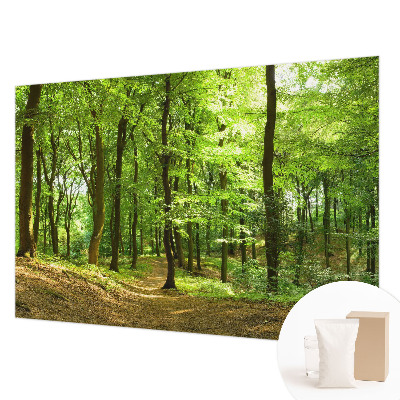 Tapeta fotograficzna fizelinowa z motywem naturalnej ścieżki