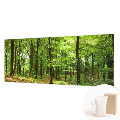 Tapeta fotograficzna fizelinowa Naturalna ścieżka