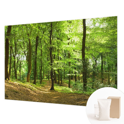 Tapeta fotograficzna fizelinowa z motywem naturalnej ścieżki