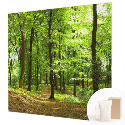 Tapeta fotograficzna fizelinowa z motywem naturalnej ścieżki