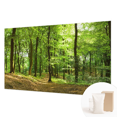 Tapeta fotograficzna fizelinowa Naturalna ścieżka