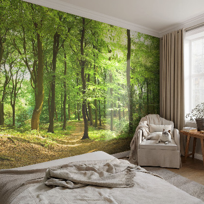 Tapeta fotograficzna fizelinowa z motywem naturalnej ścieżki