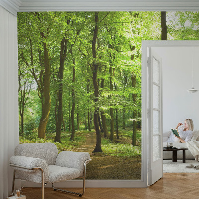 Tapeta fotograficzna fizelinowa z motywem naturalnej ścieżki