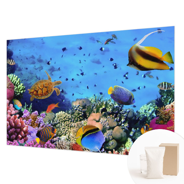 Nowoczesna fototapeta do salonu Rafa koralowa