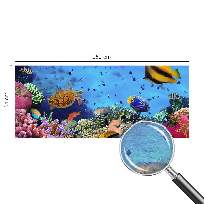 Nowoczesna fototapeta do salonu Rafa koralowa