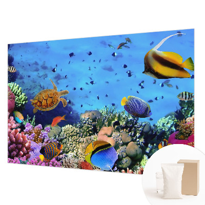 Nowoczesna fototapeta do salonu Rafa koralowa