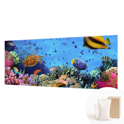 Nowoczesna fototapeta do salonu Rafa koralowa