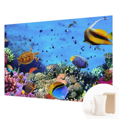 Nowoczesna fototapeta do salonu Rafa koralowa