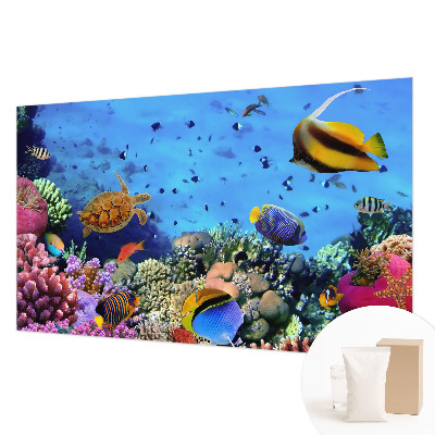 Nowoczesna fototapeta do salonu Rafa koralowa