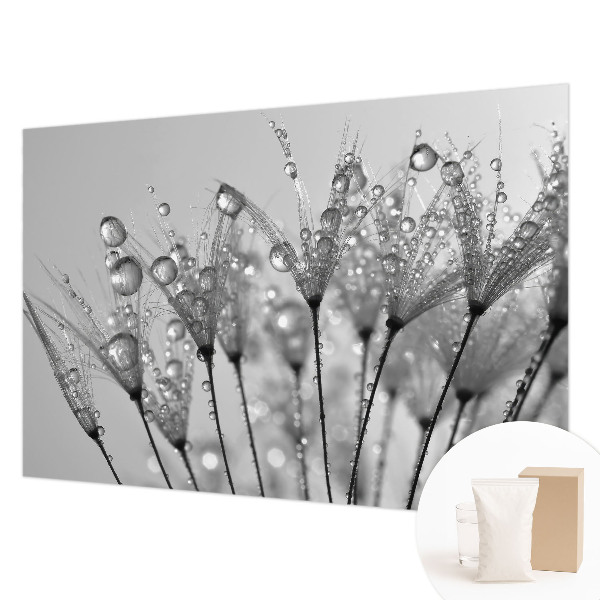 Fototapeta fizelinowa do sypialni Mokra delikatność