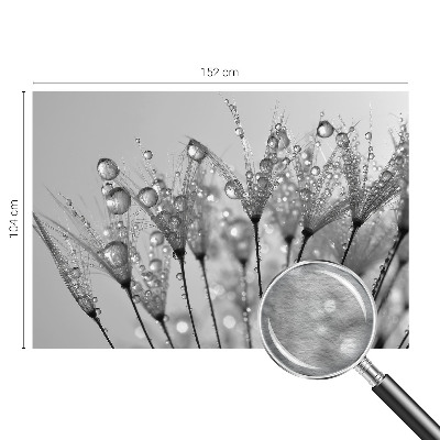 Fototapeta fizelinowa do sypialni Mokra delikatność