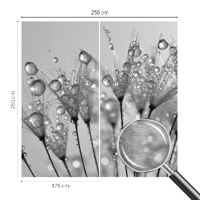Fototapeta fizelinowa do sypialni Mokra delikatność