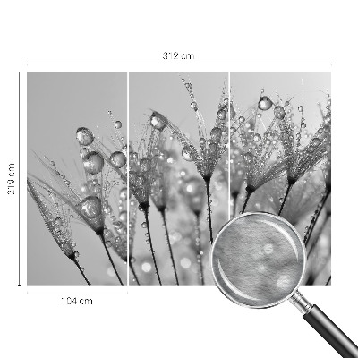 Fototapeta fizelinowa do sypialni Mokra delikatność