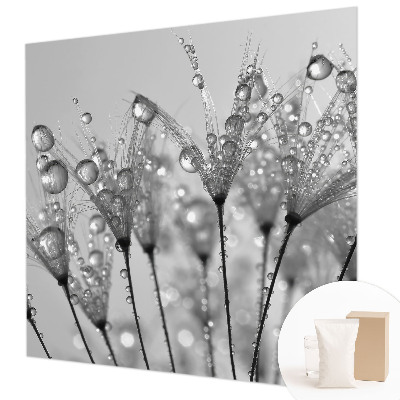 Fototapeta fizelinowa do sypialni Mokra delikatność