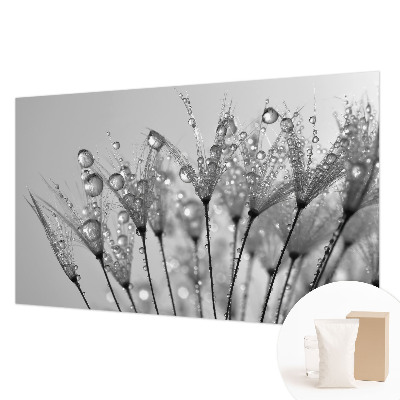 Fototapeta fizelinowa do sypialni Mokra delikatność