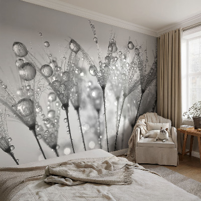 Fototapeta fizelinowa do sypialni Mokra delikatność