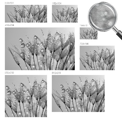 Fototapeta fizelinowa do sypialni Mokra delikatność