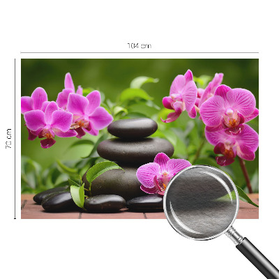 Fototapeta na ścianę z motywem orchidei i kamieni