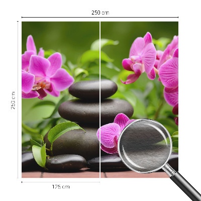 Fototapeta na ścianę z motywem orchidei i kamieni