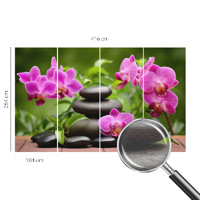 Fototapeta na ścianę z motywem orchidei i kamieni