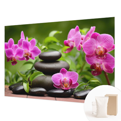 Fototapeta na ścianę z motywem orchidei i kamieni