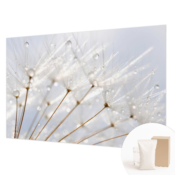 Fototapeta fizelinowa do sypialni Rosy dmuchawiec