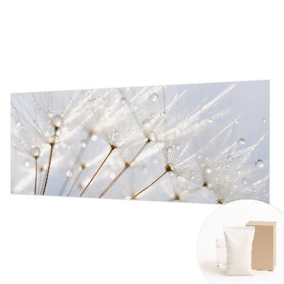 Fototapeta fizelinowa do sypialni Rosy dmuchawiec