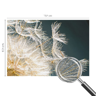 Dekoracyjna fototapeta na ścianę Dmuchawiec lekkości