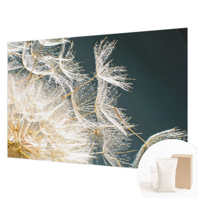 Dekoracyjna fototapeta na ścianę Dmuchawiec lekkości