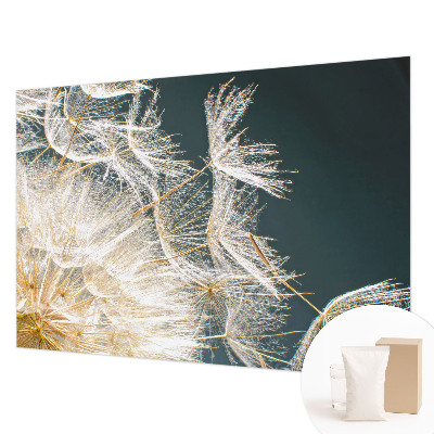 Dekoracyjna fototapeta na ścianę Dmuchawiec lekkości