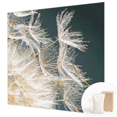 Dekoracyjna fototapeta na ścianę Dmuchawiec lekkości