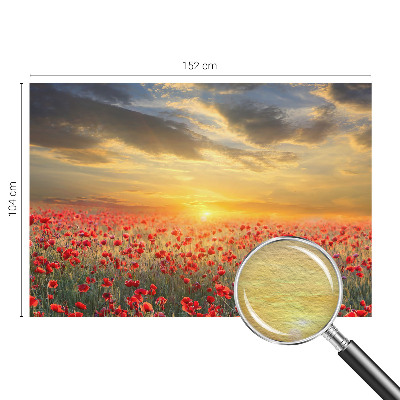 Nowoczesna fototapeta do salonu Makowe pole