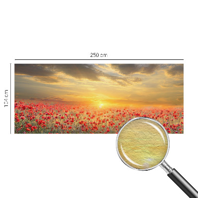 Nowoczesna fototapeta do salonu Makowe pole