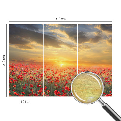 Nowoczesna fototapeta do salonu Makowe pole